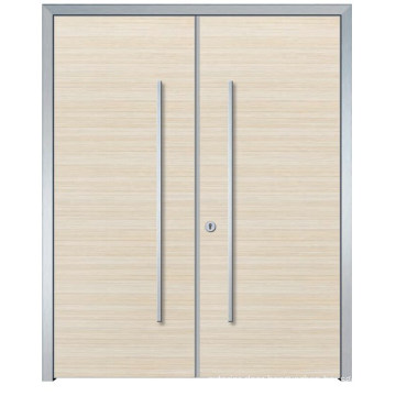 Indian Aluminum Frame Main Door Designs